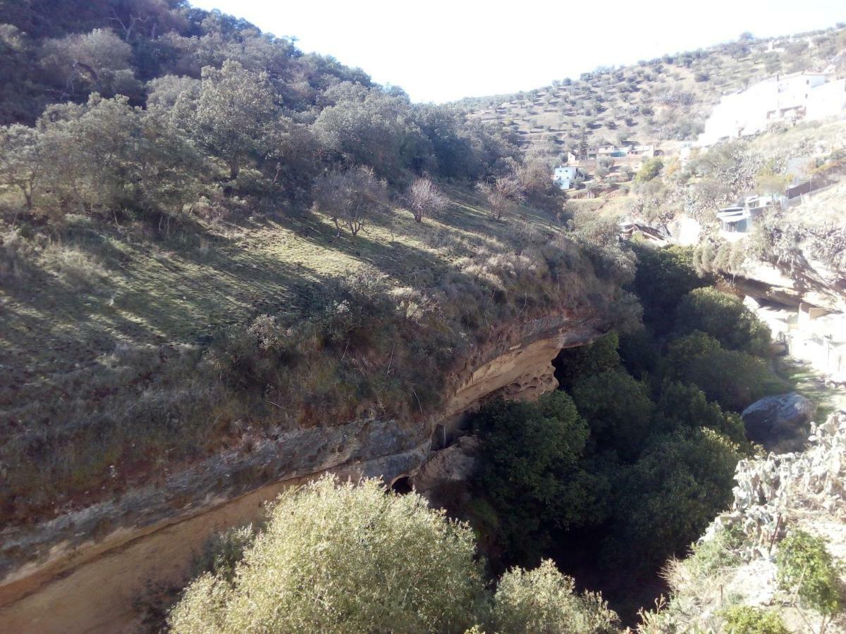Setenil De Las Bodegas Casa Bermudezゲストハウス エクステリア 写真